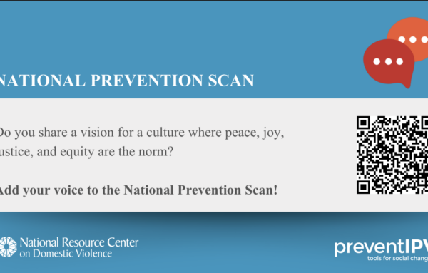 National Intimate Partner Violence Prevention Council launches prevention scan